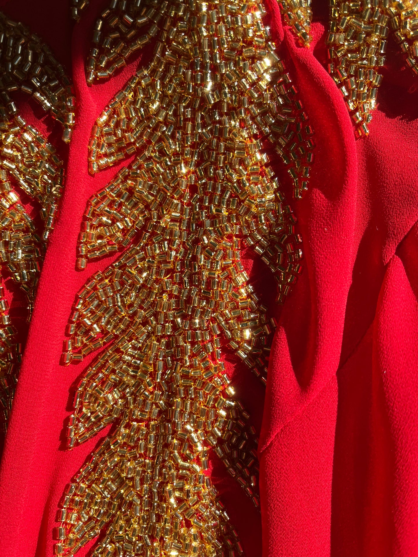 Chaqueta joya rojo / oro